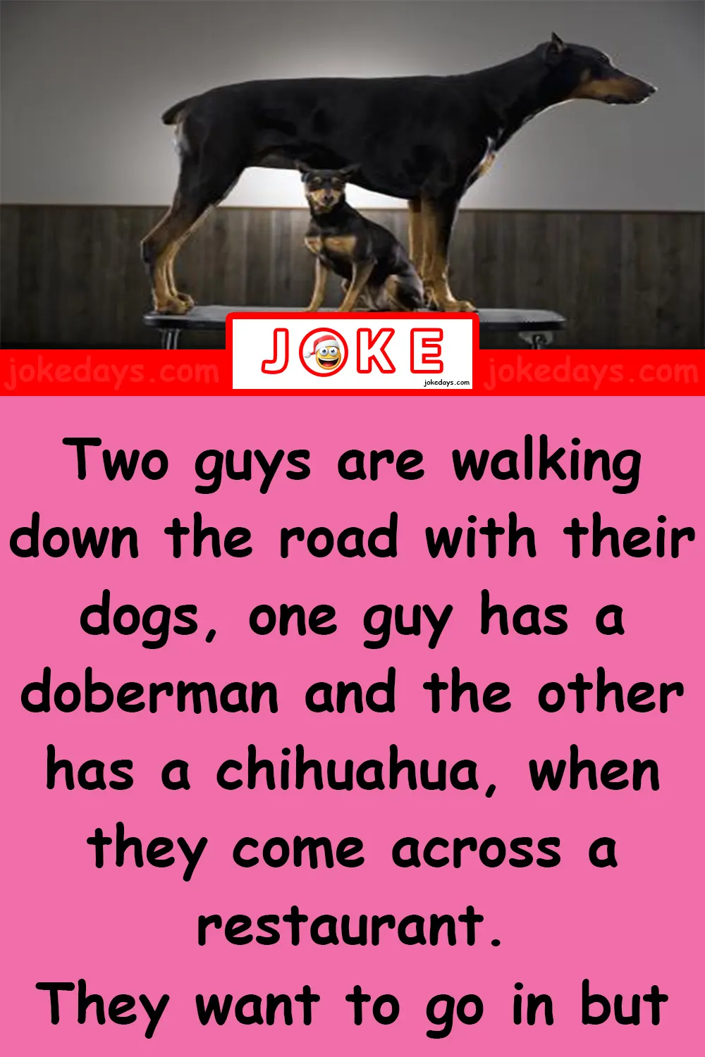 Doberman and Chihuahua