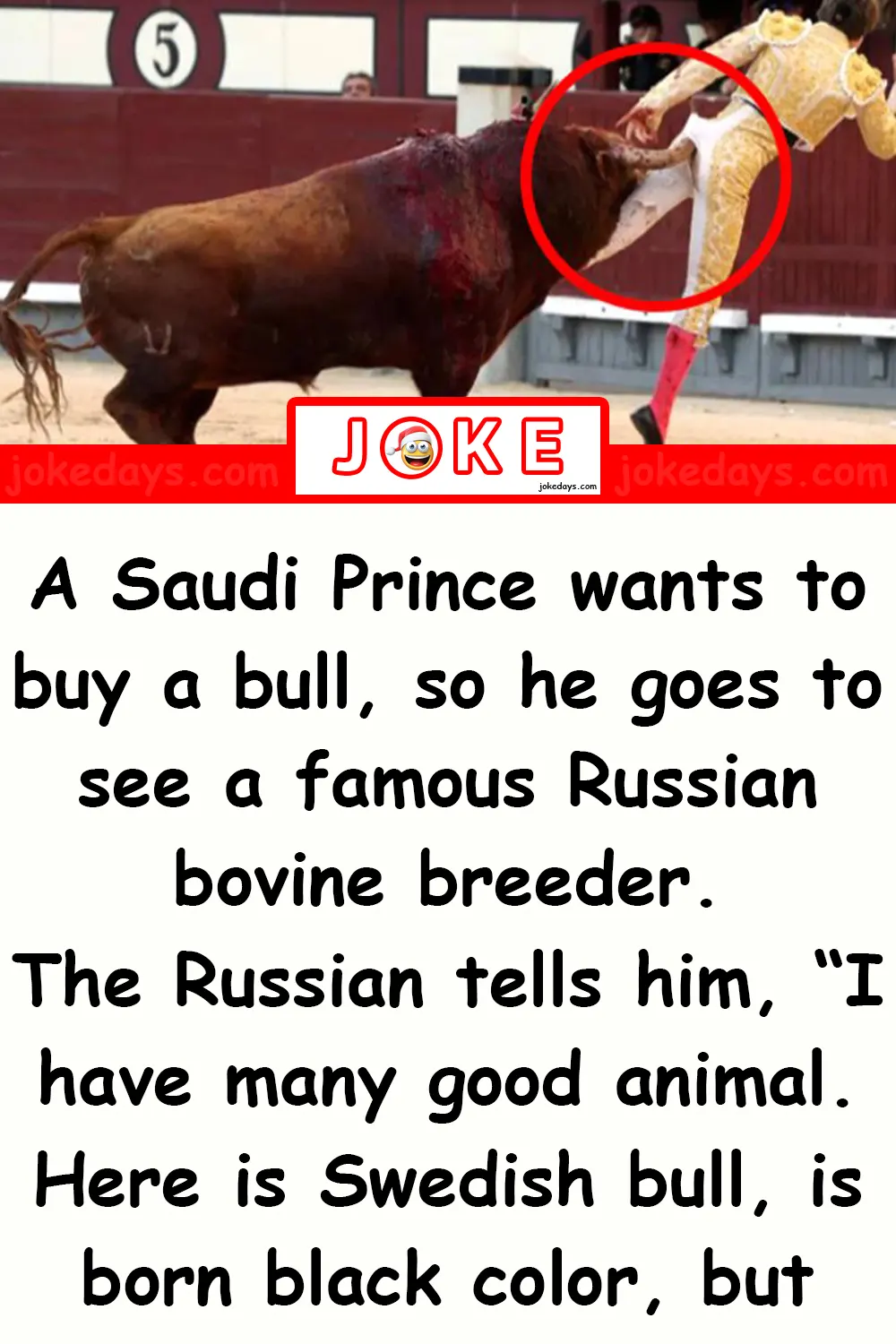 Buy A Bull